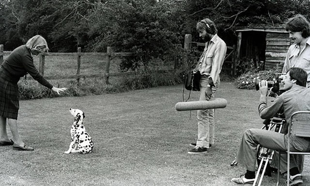 header image for Training Dogs the Woodhouse Way