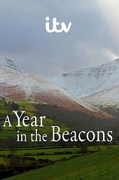 A Year in the Beacons