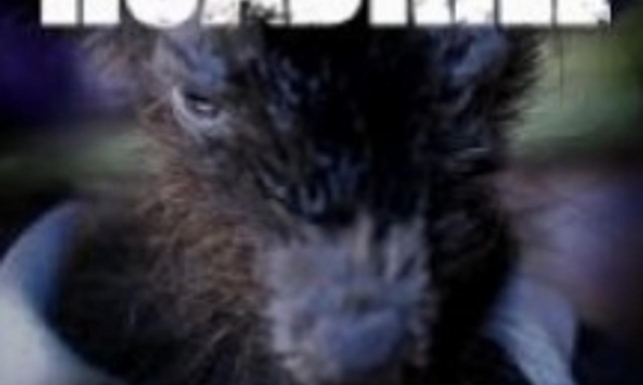 header image for Roadkill