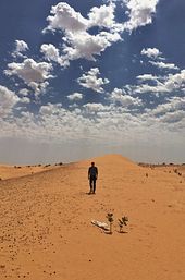 Sahara
