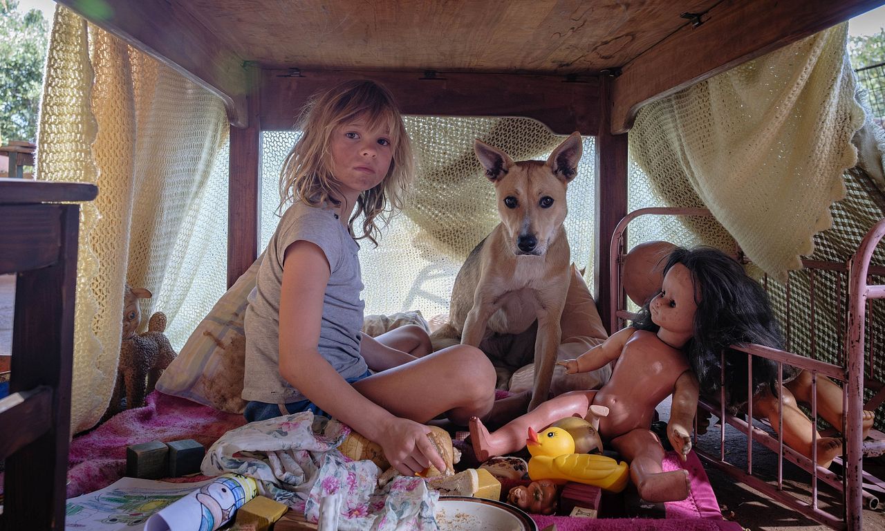 header image for Don't Let's Go to the Dogs Tonight