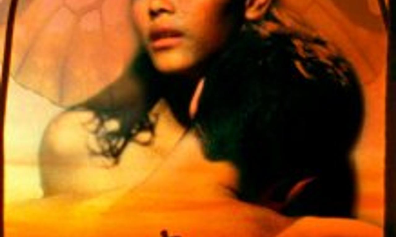 header image for Butterfly Man