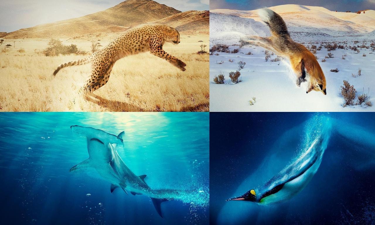 header image for A Year on Planet Earth