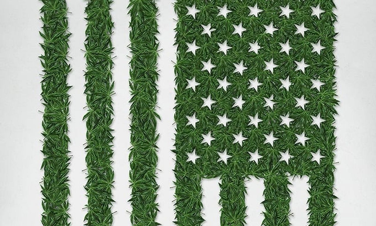 header image for High Profits