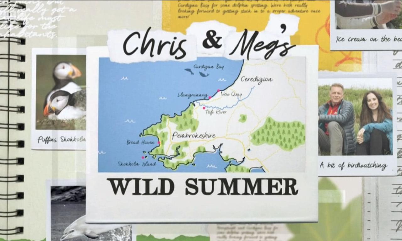 header image for Chris and Meg's Wild Summer