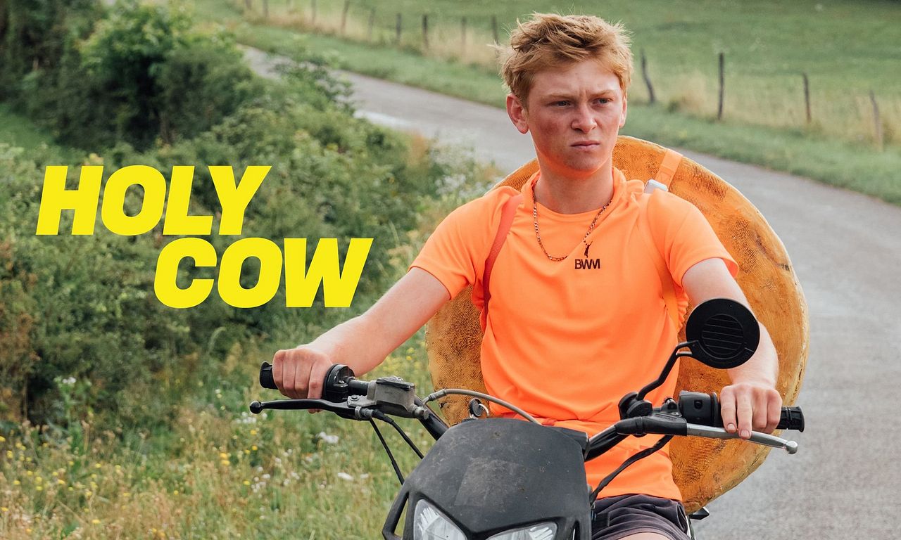 header image for Holy Cow