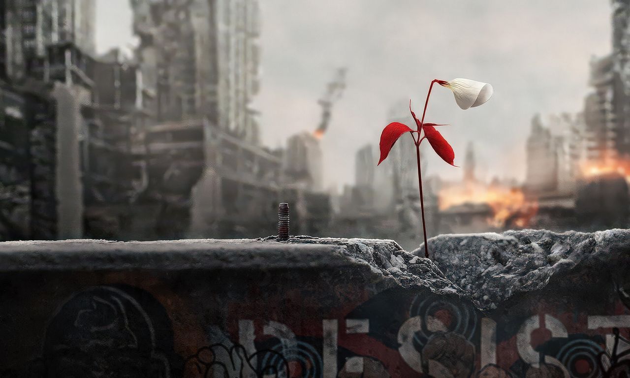 header image for The Handmaid's Tale