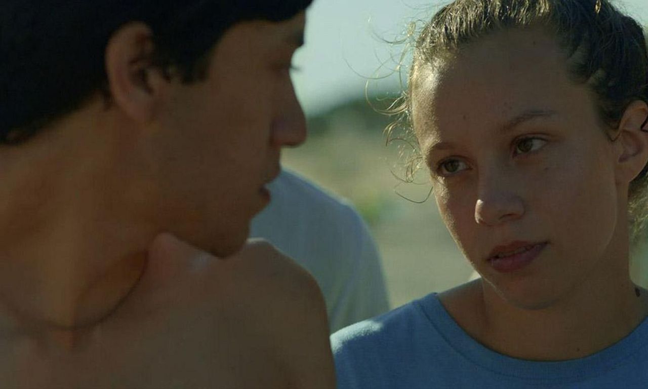 header image for The Sharks