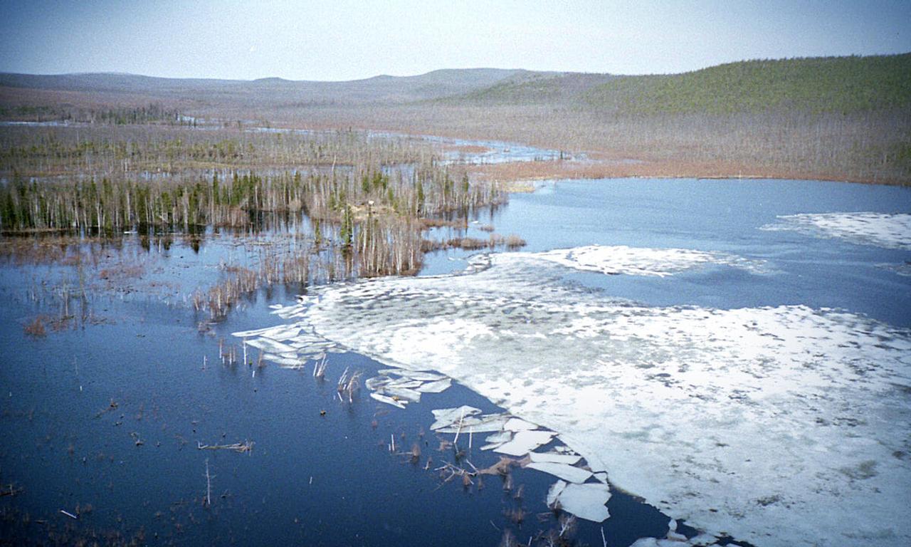 header image for Big Bang in Tunguska