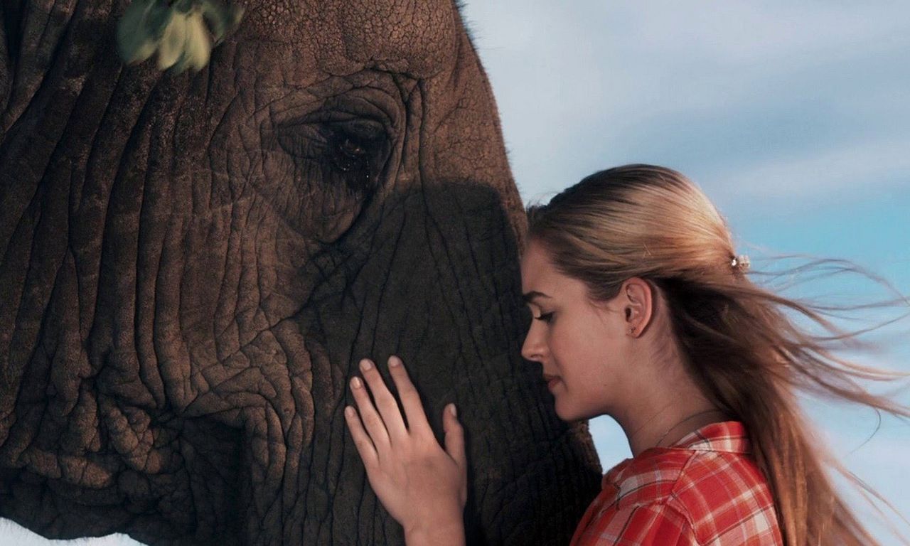 header image for Sophie & Sheba