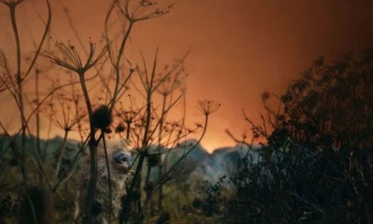 header image for The Calling