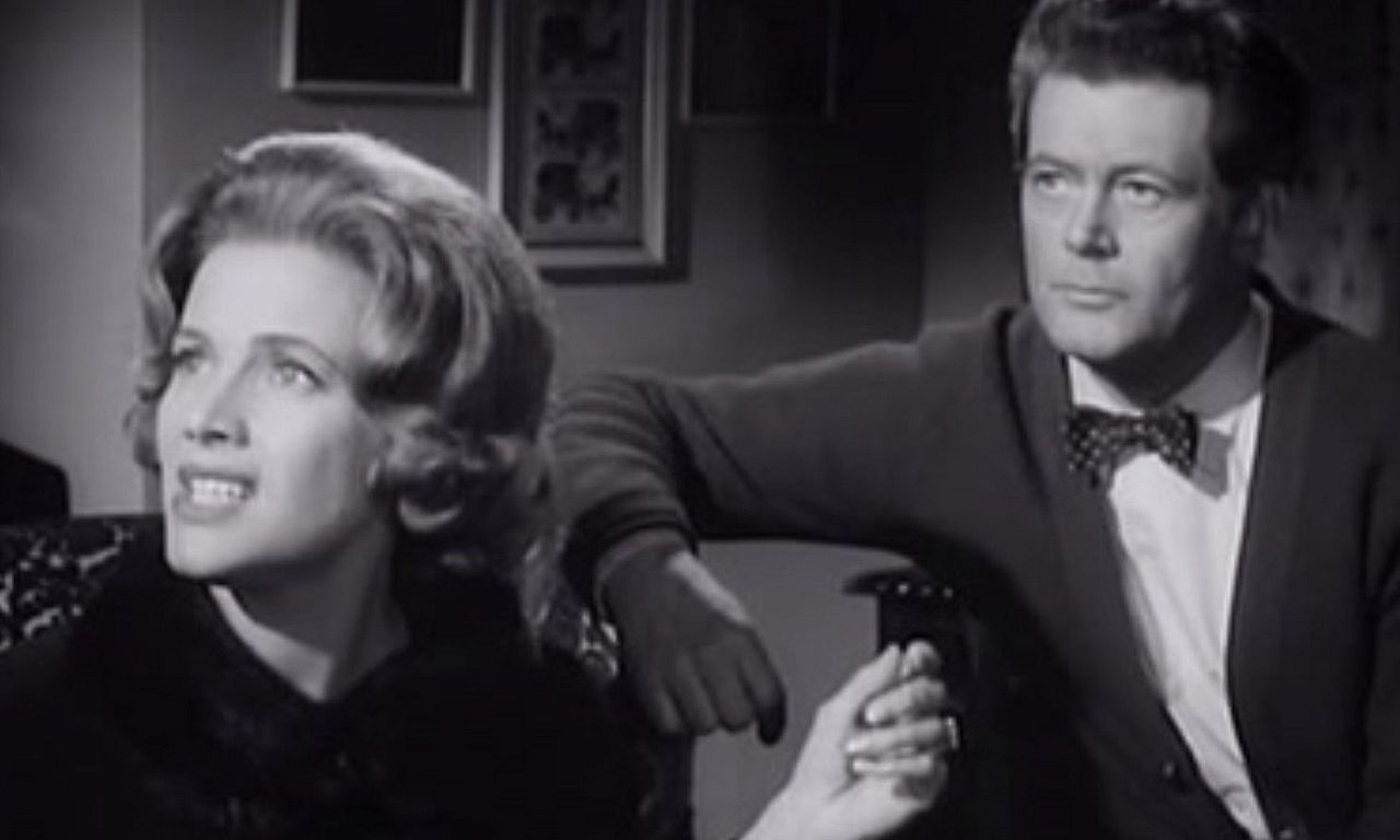 header image for Serena