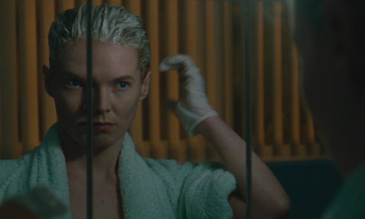 header image for Blue Jean