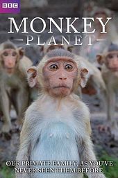 Monkey Planet