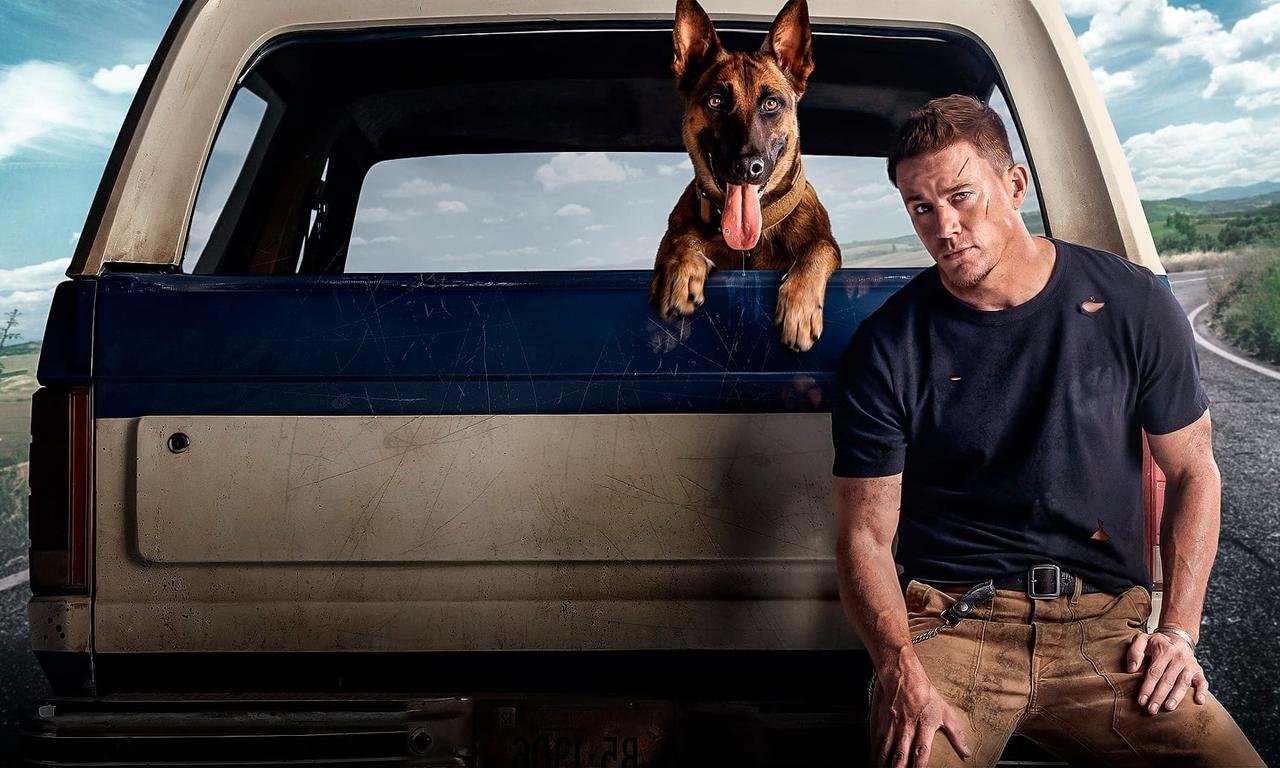 header image for Dog