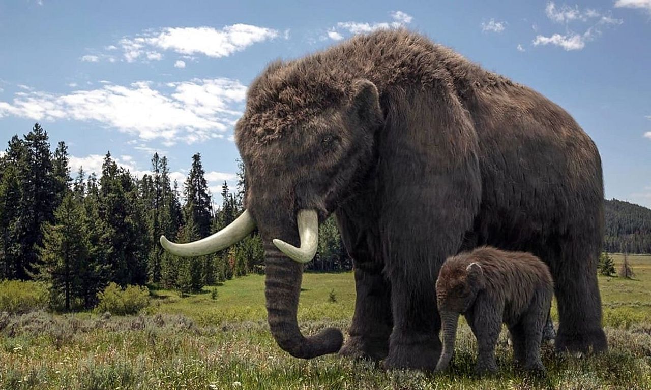 header image for Ice Age Giants