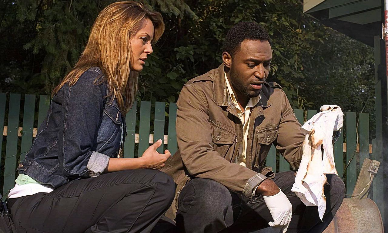 header image for Cries in the Dark