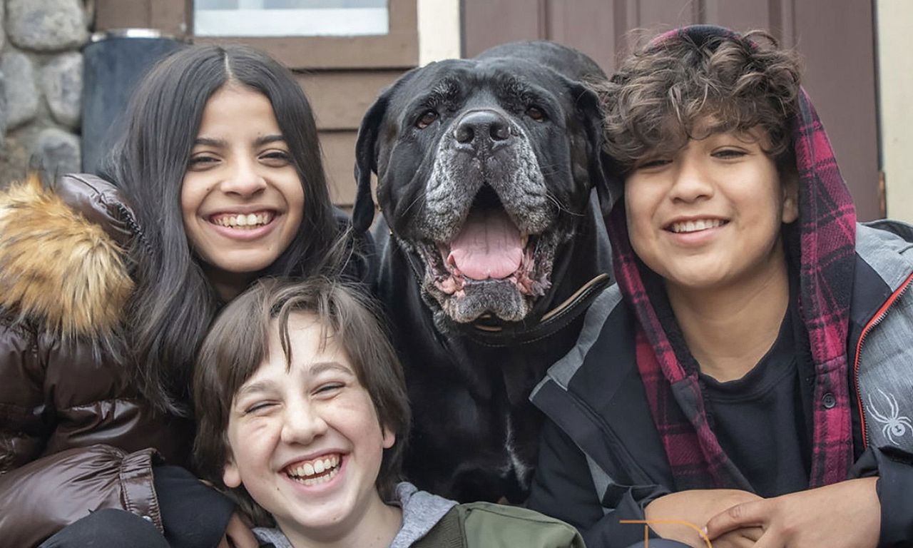 header image for Dog Patrol: Operation Santa Paws