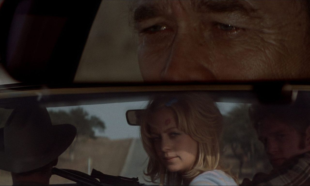 header image for The Sugarland Express