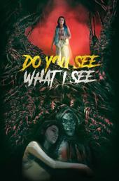 Do You See What I See