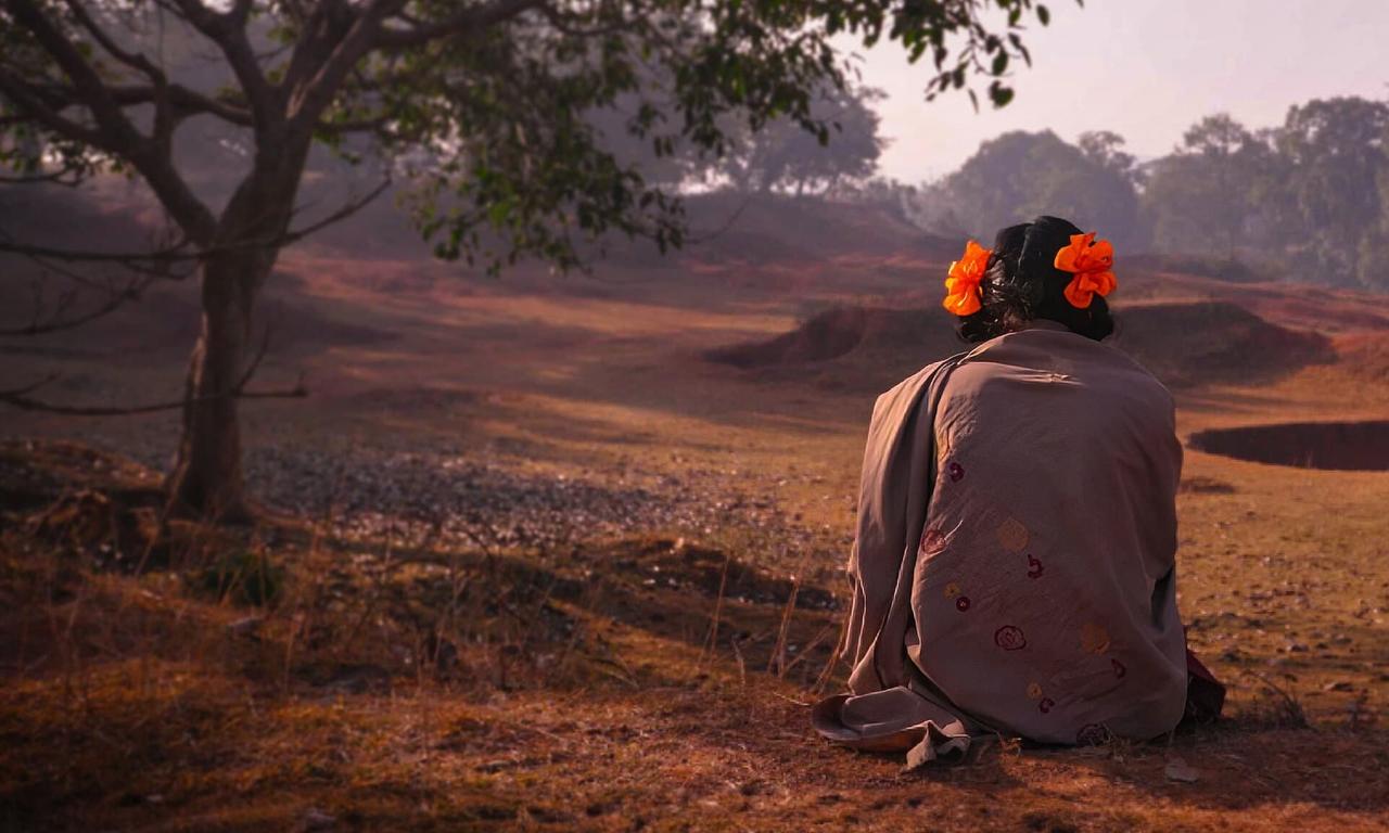 header image for To Kill a Tiger