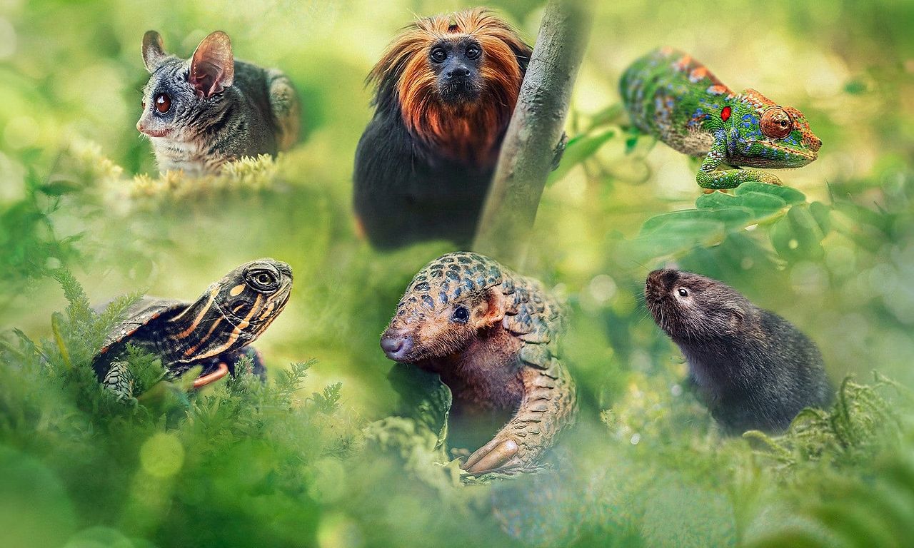 header image for Big Little Journeys