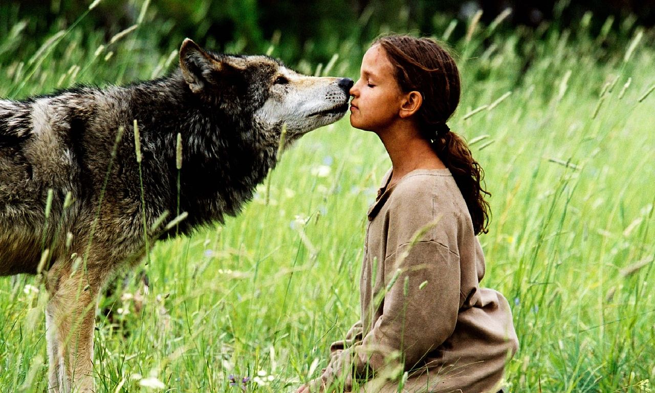 header image for Wolf Summer