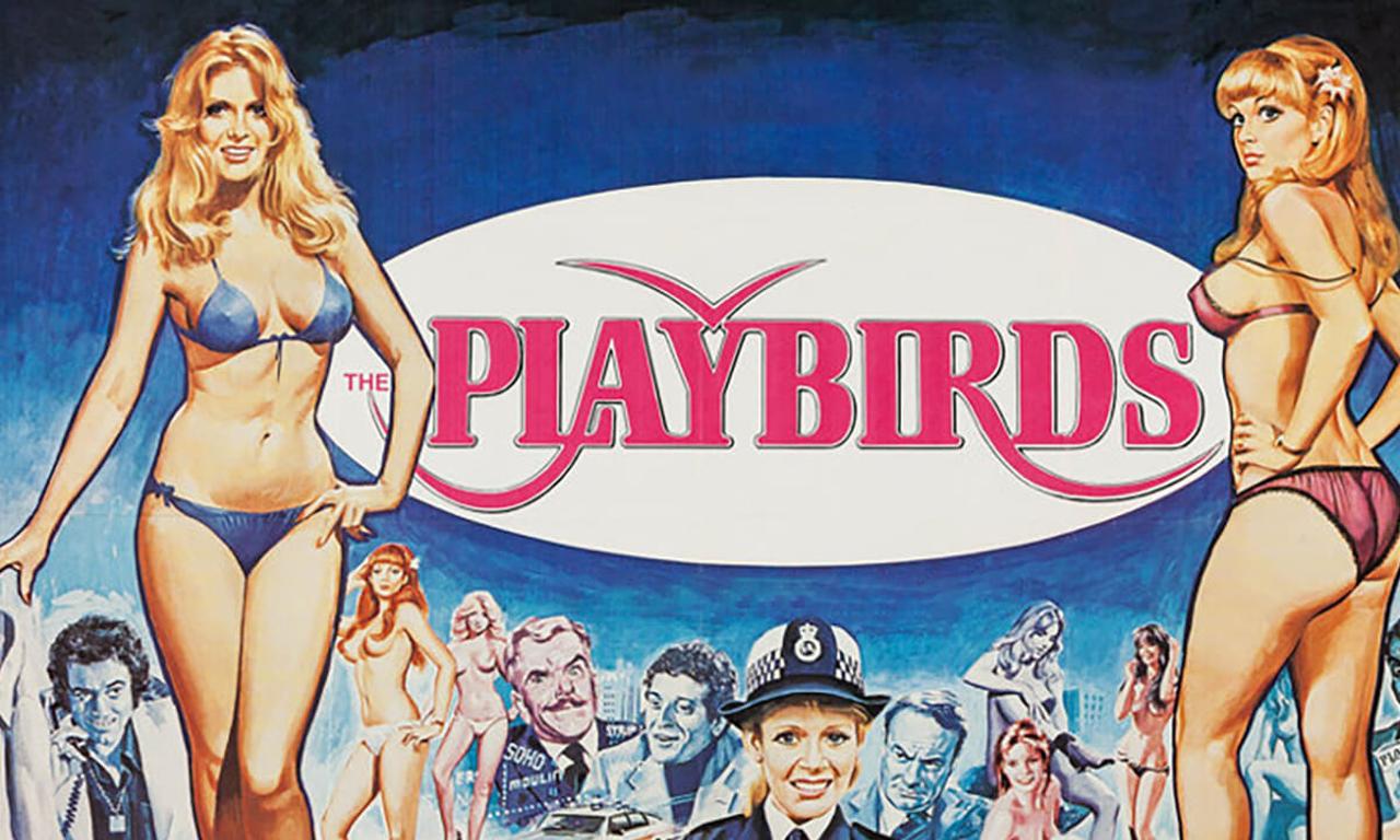 header image for The Playbirds