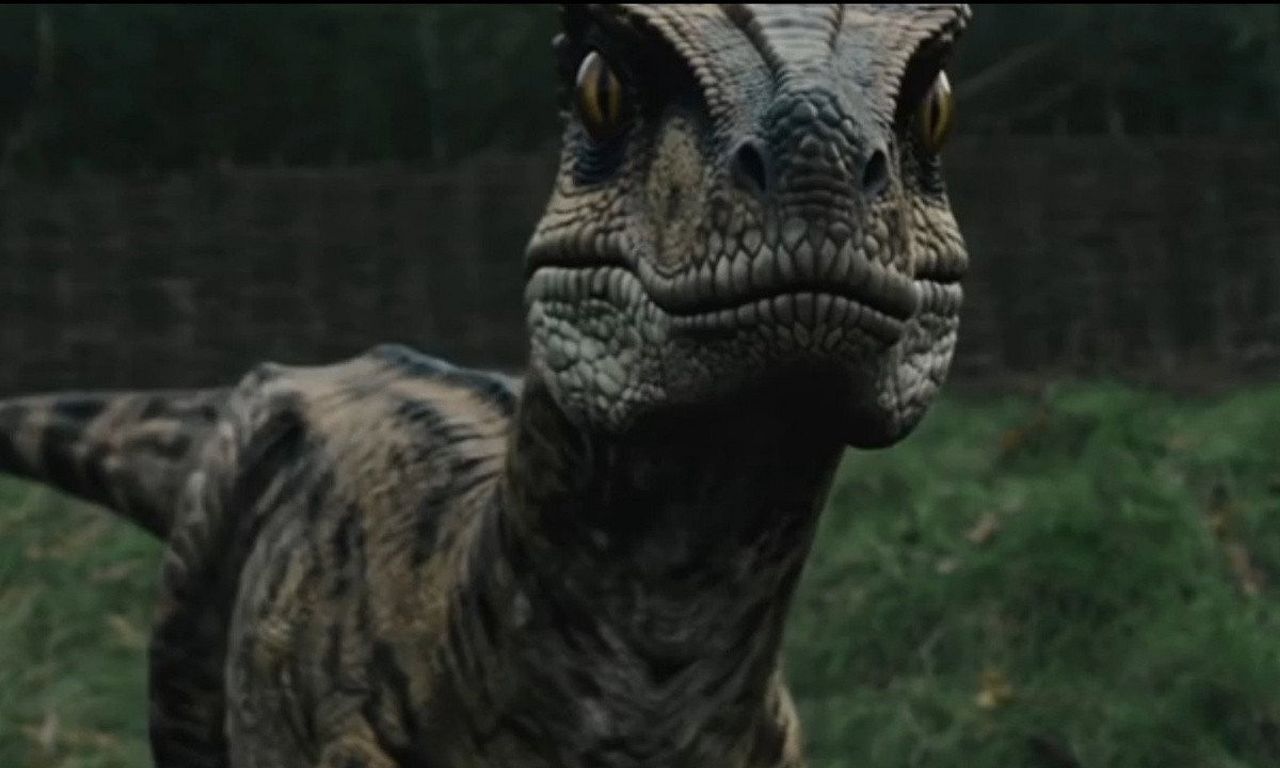 header image for Raptor Attack