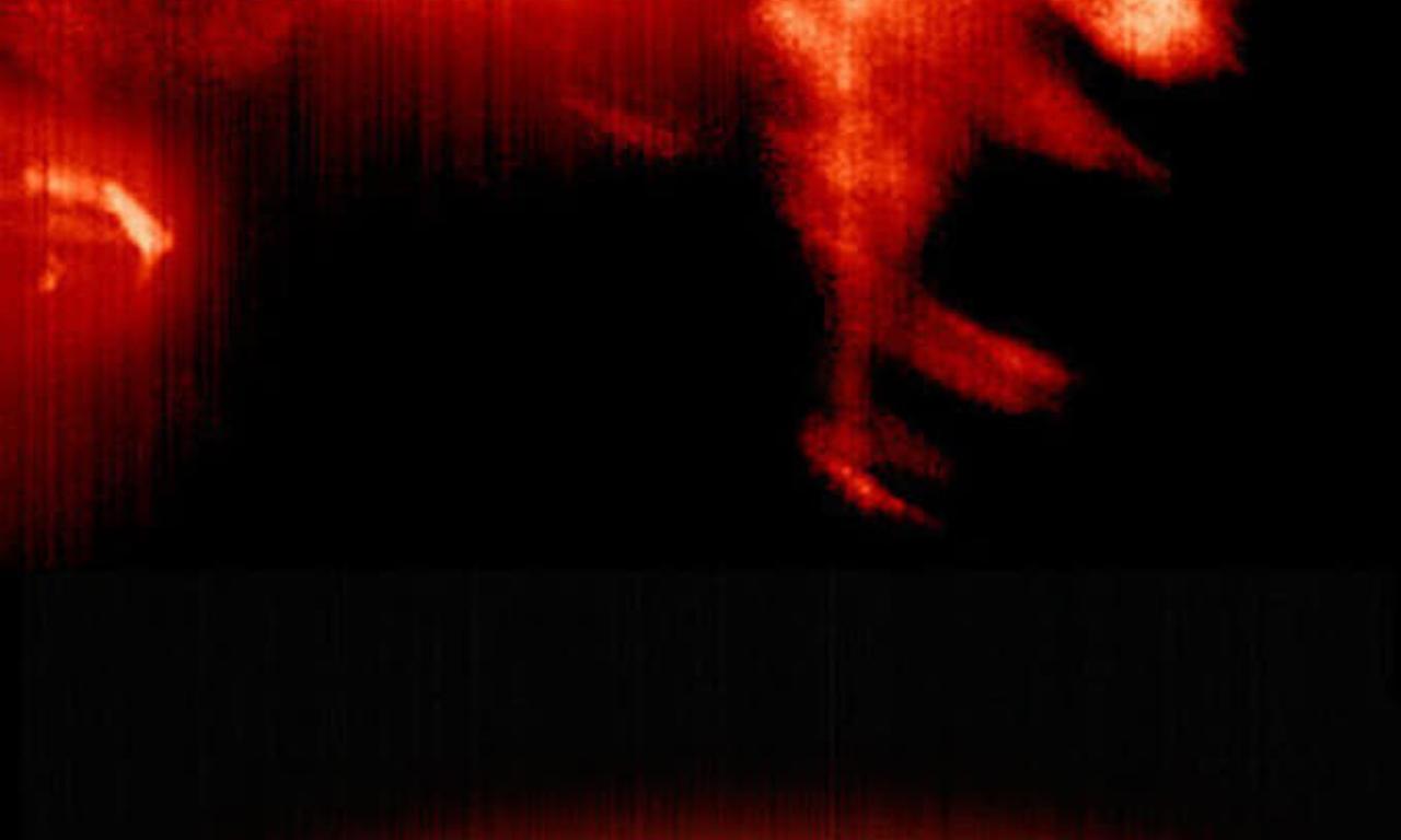 header image for Yesterday