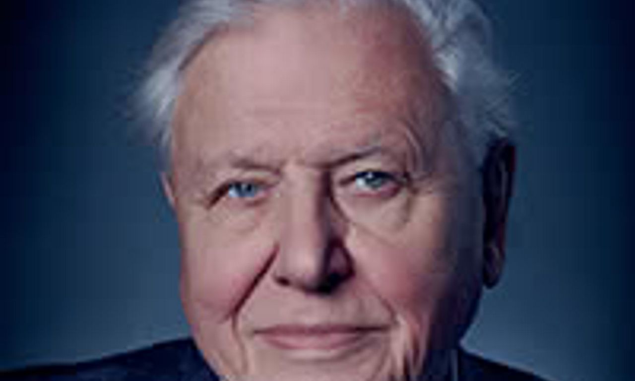 header image for David Attenborough: A Life on Our Planet