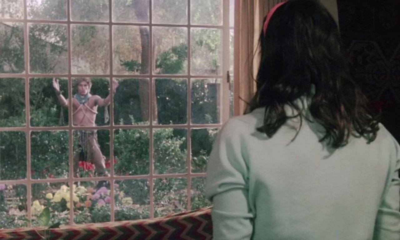 header image for I Never Promised You a Rose Garden