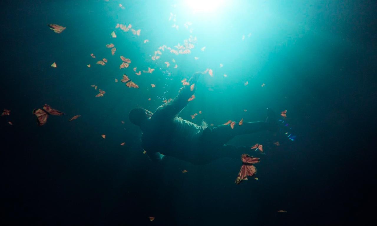 header image for The Guardian of the Monarchs