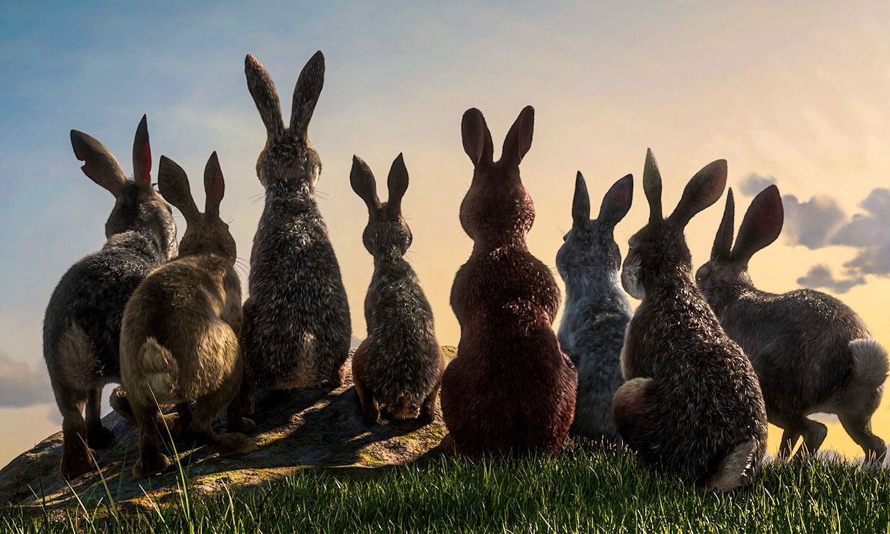 header image for Watership Down