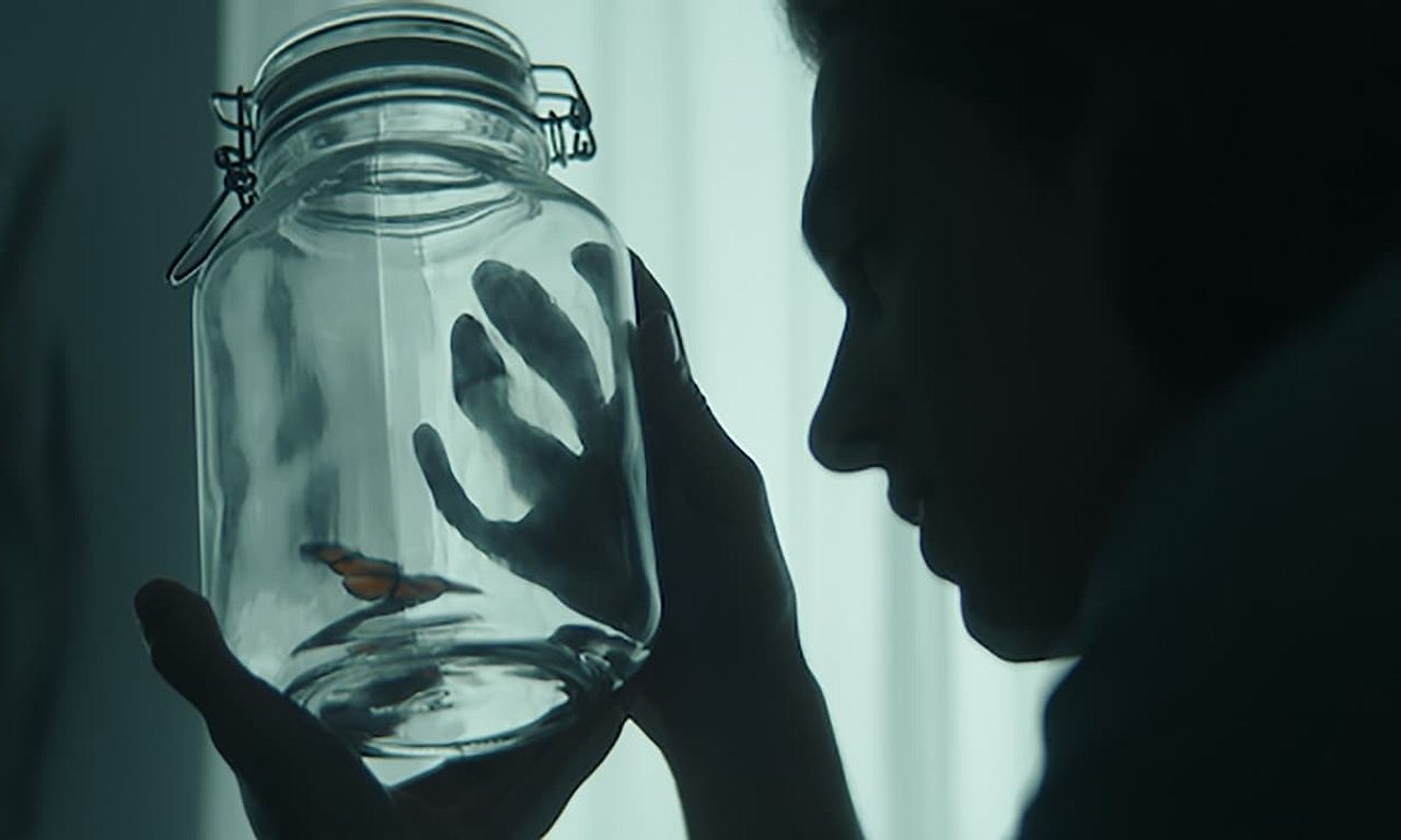 header image for Anomaly