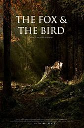 The Fox & the Bird