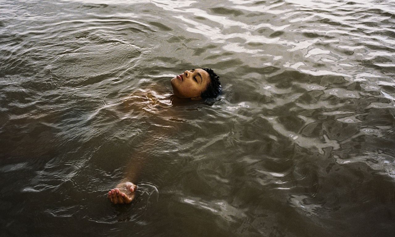 header image for Bird