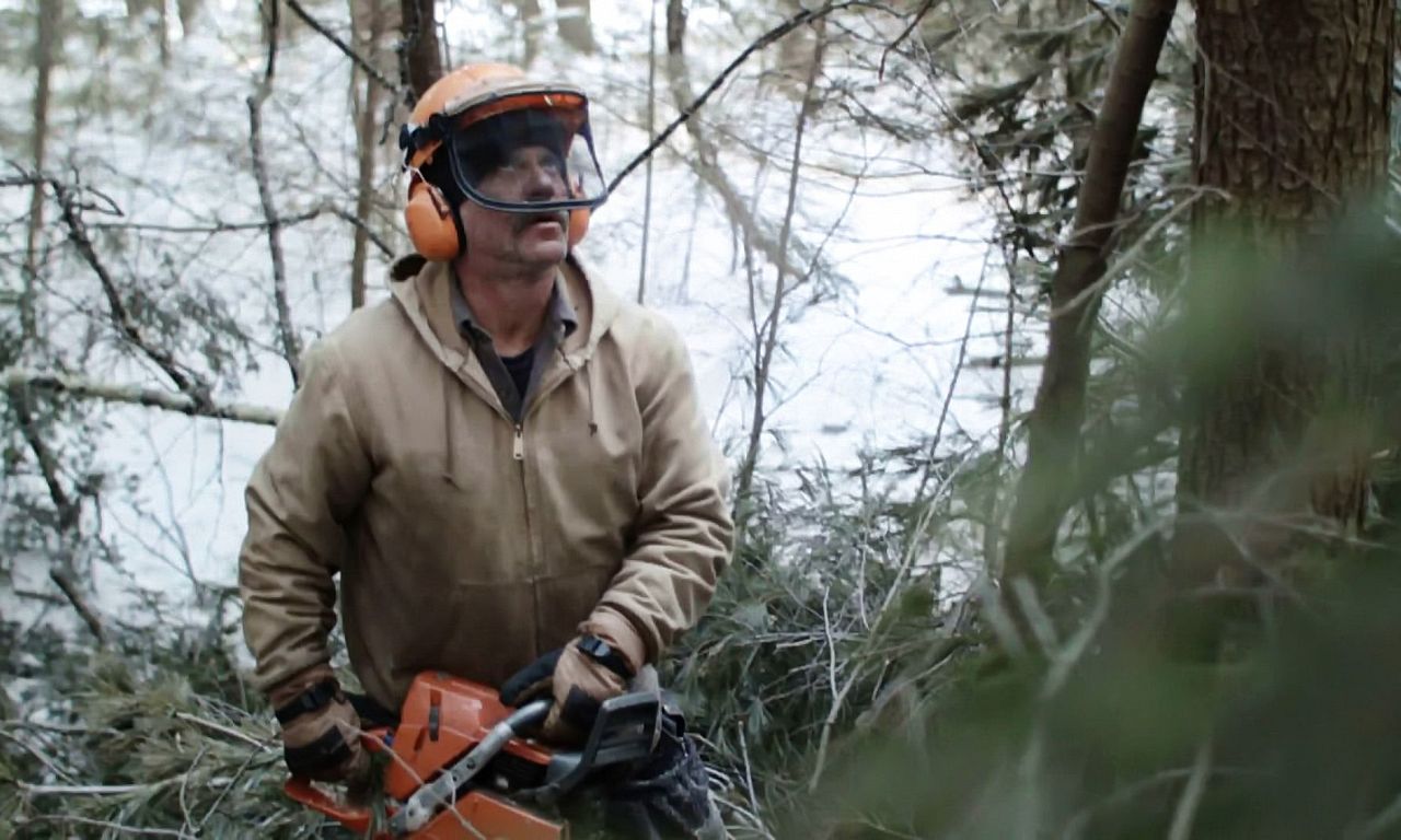 header image for Bob and the Trees