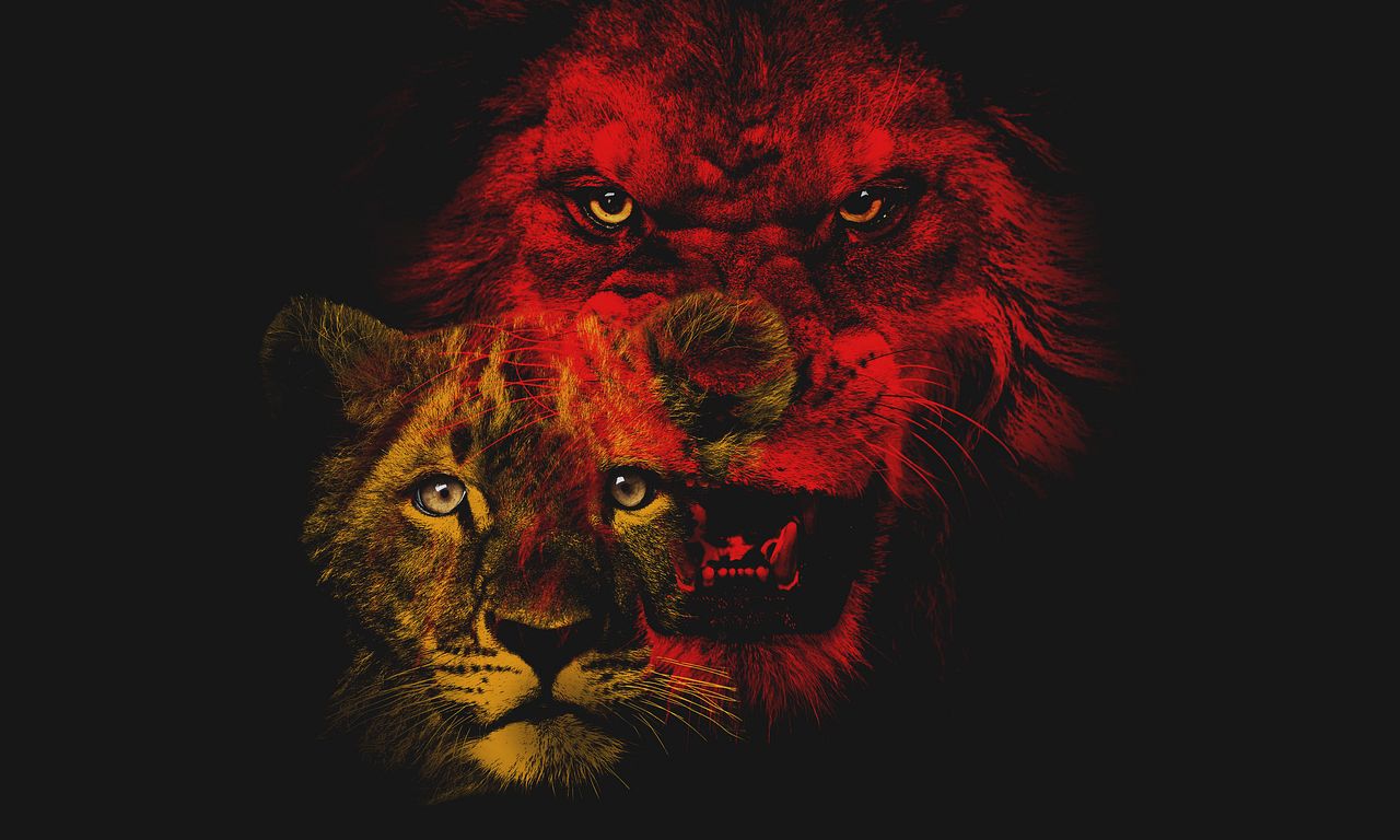 header image for Savage Kingdom