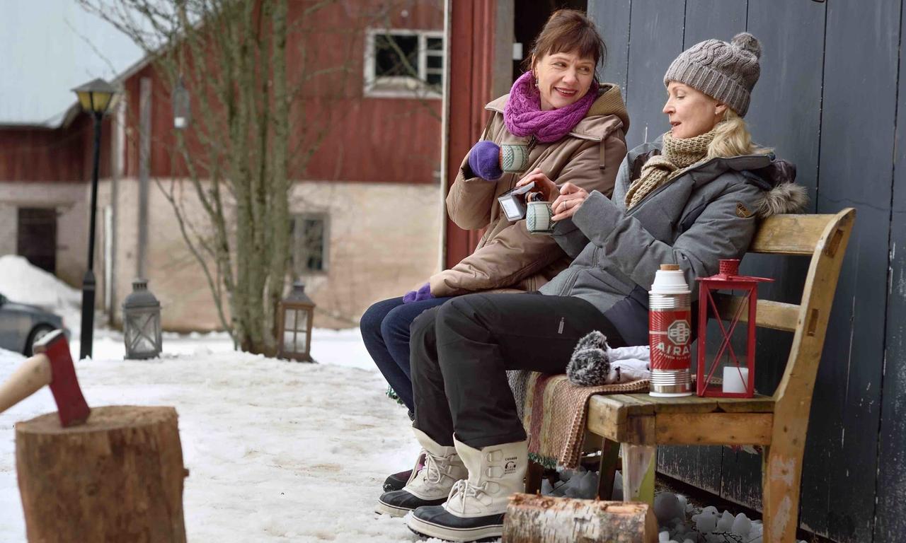 header image for Wonderland