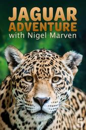 Jaguar Adventure With Nigel Marven
