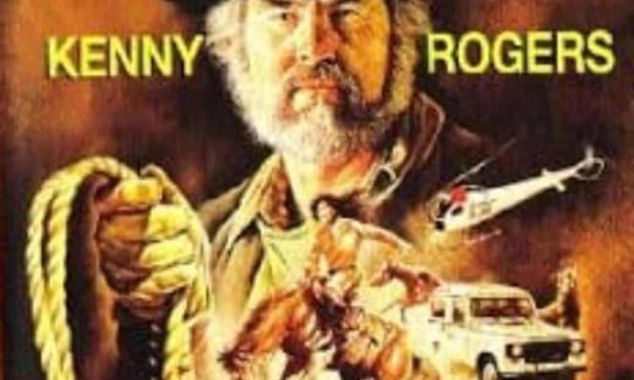 header image for Wild Horses