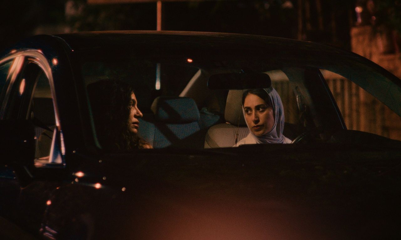 header image for Coyotes