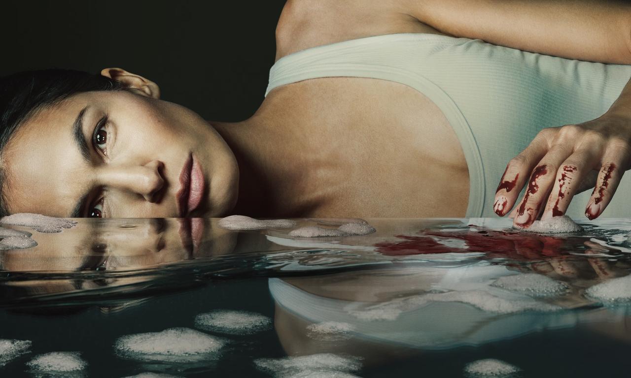 header image for The Cleaning Lady