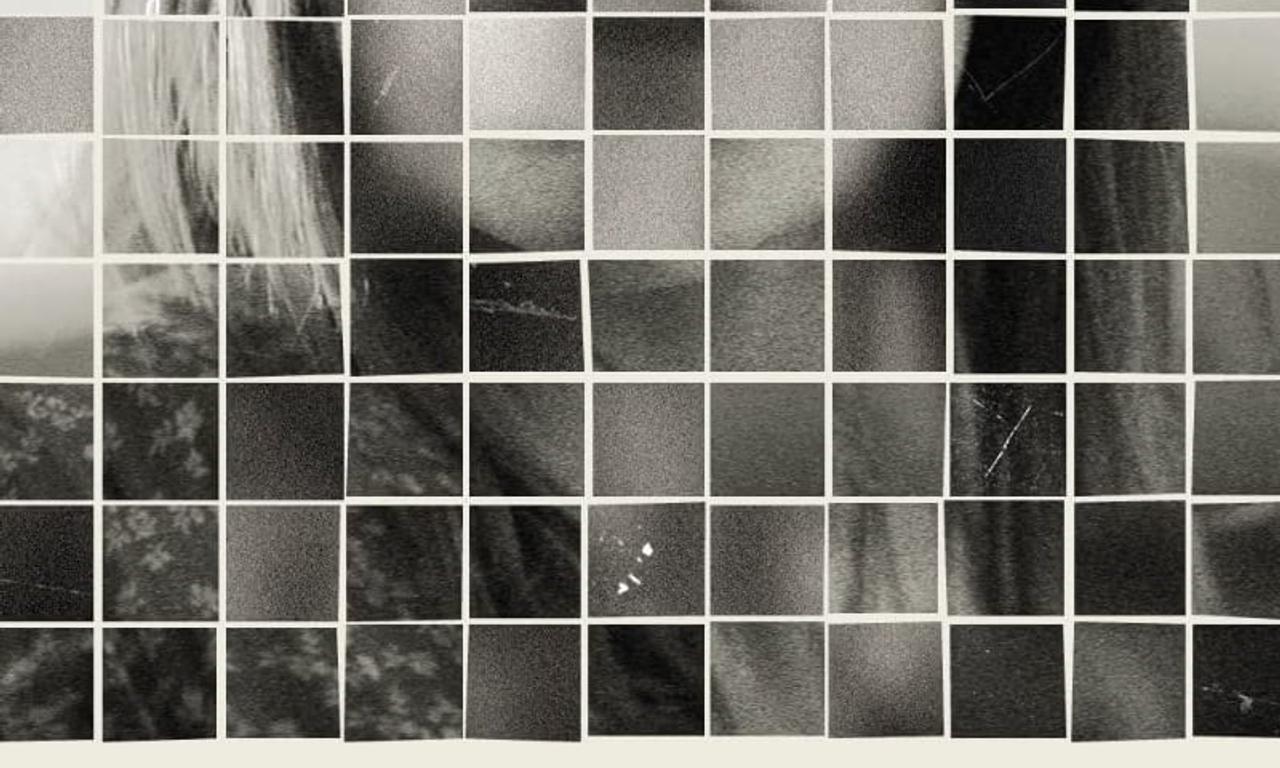 header image for The Following Year