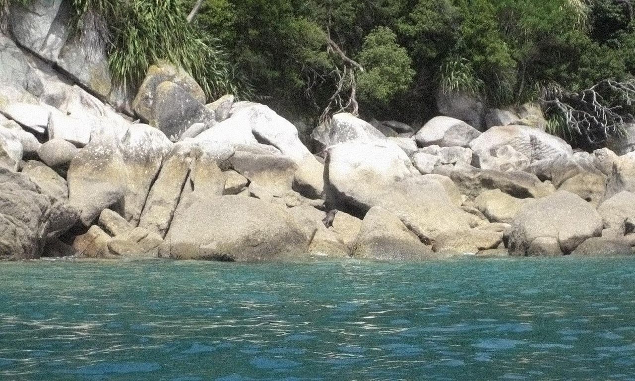 header image for The Other Side of Heaven