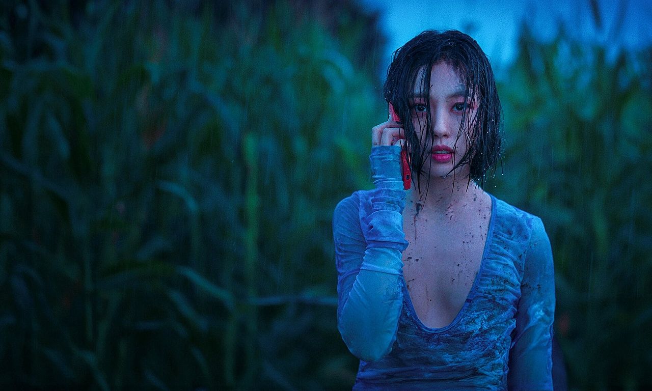 header image for The Frog