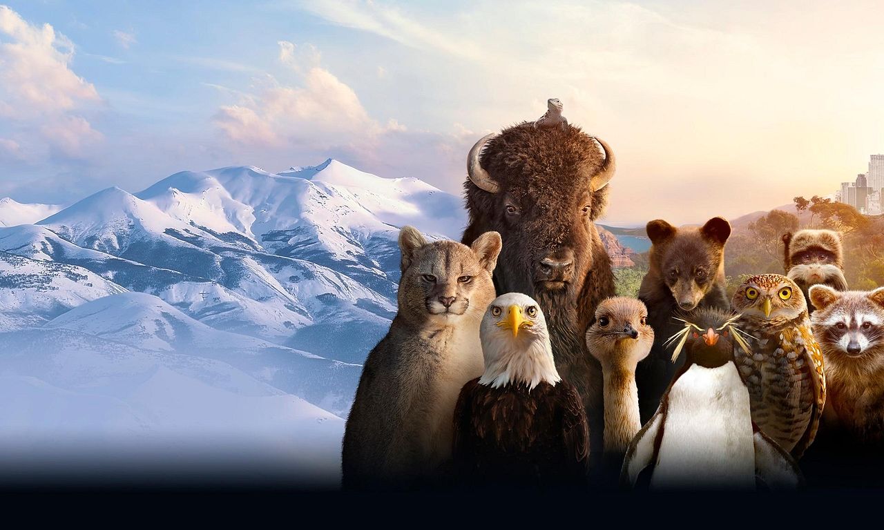 header image for The Americas