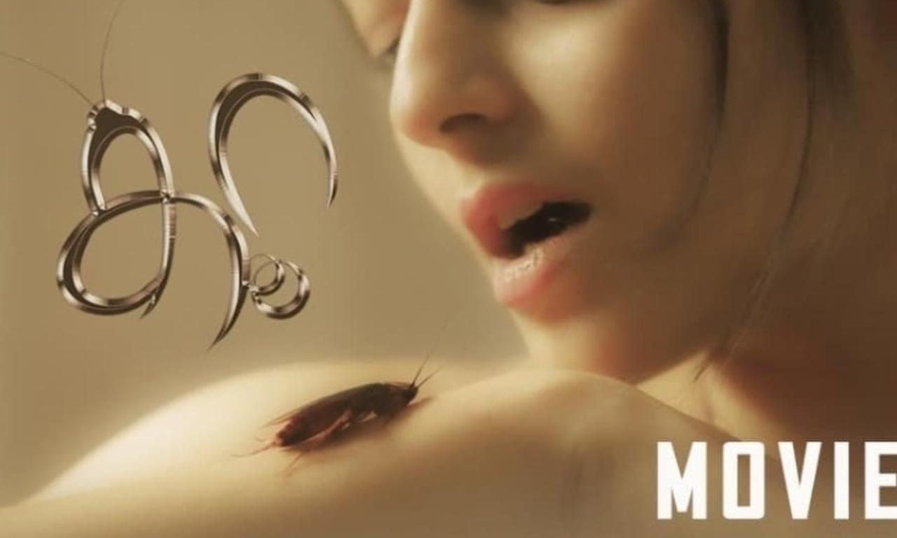 header image for Koora
