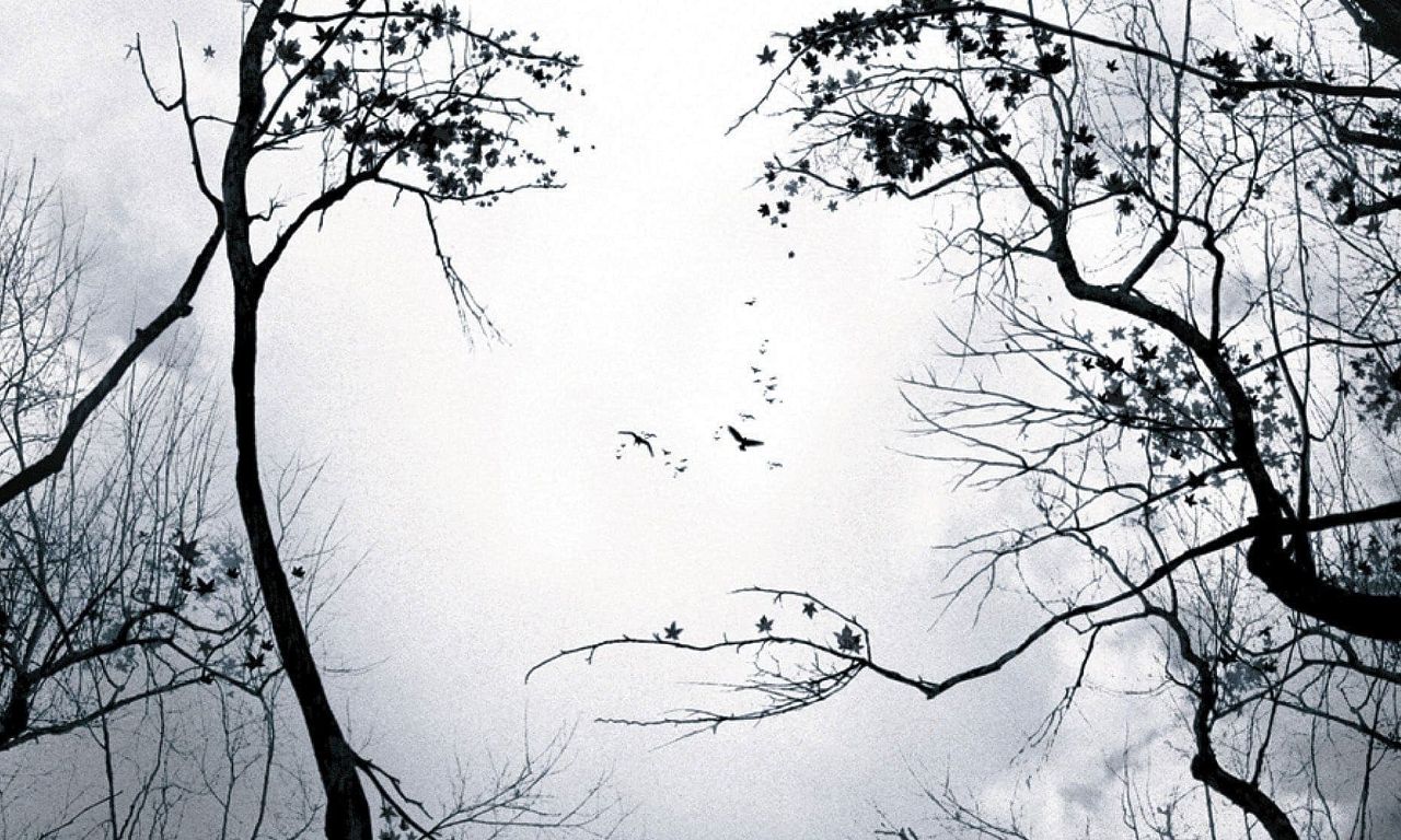 header image for Premonition